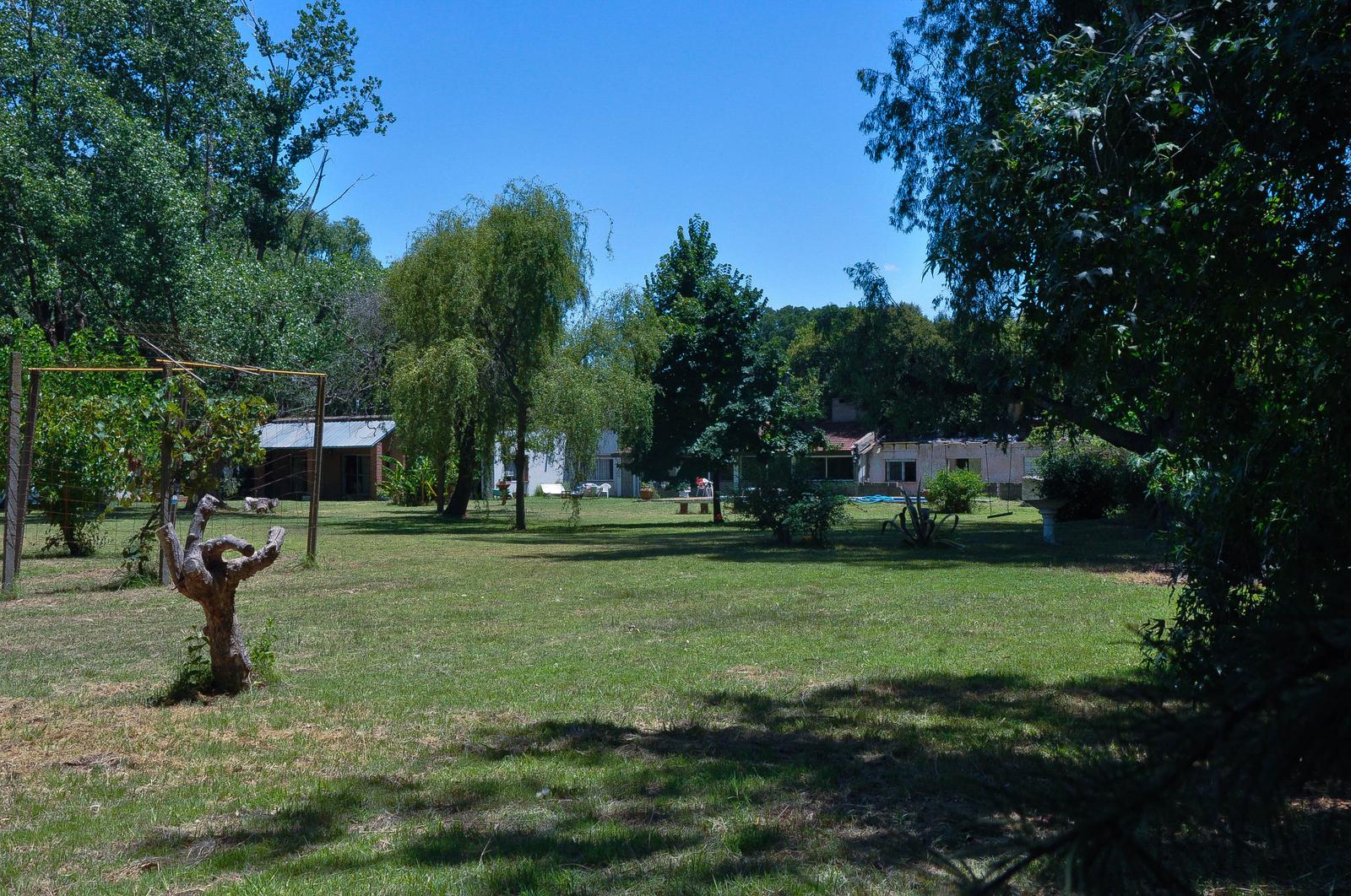 image 29