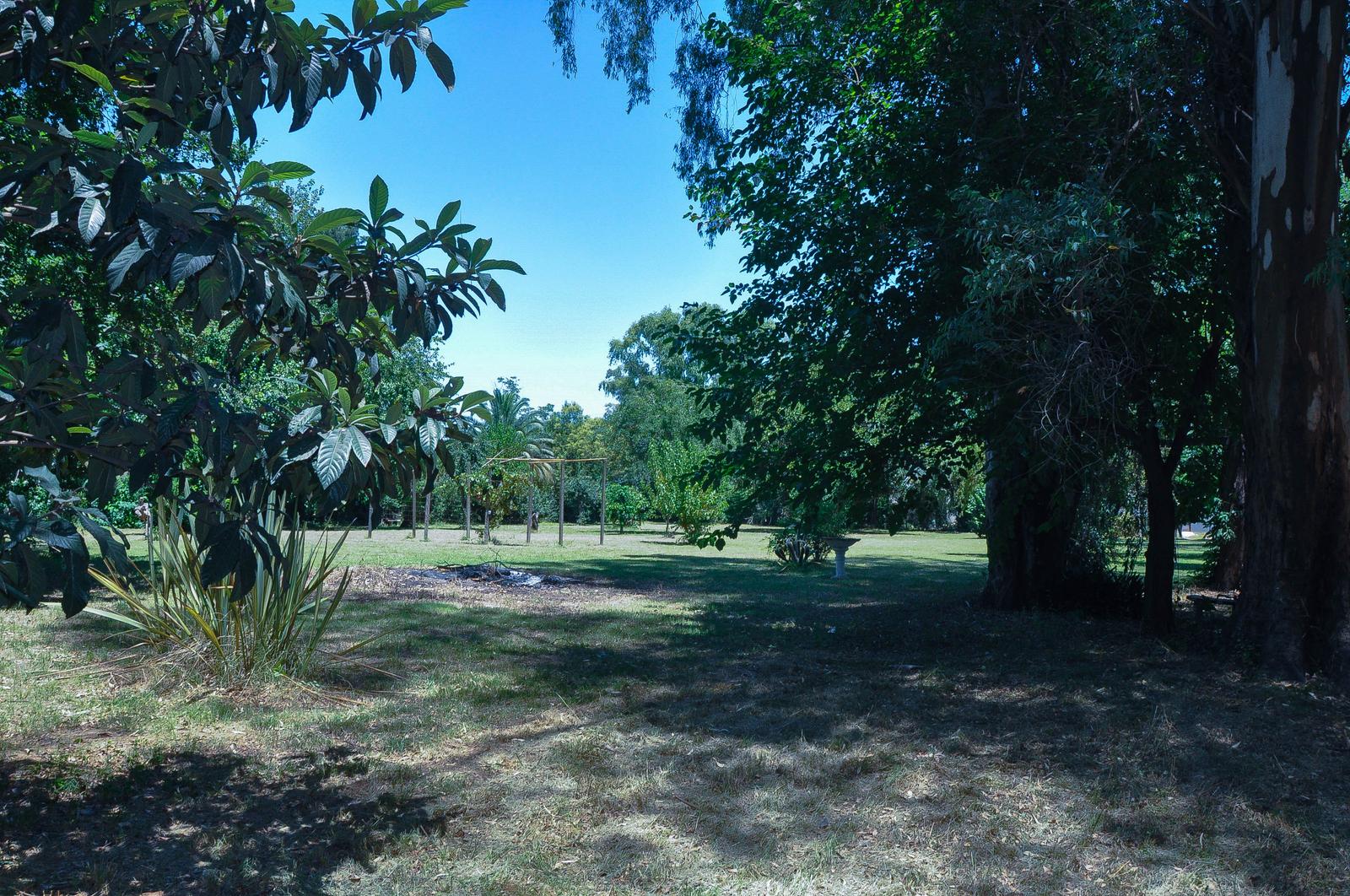 image 30