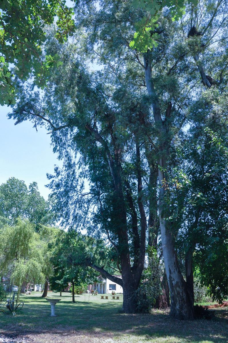 image 31