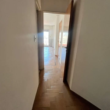 1769461954.jpg