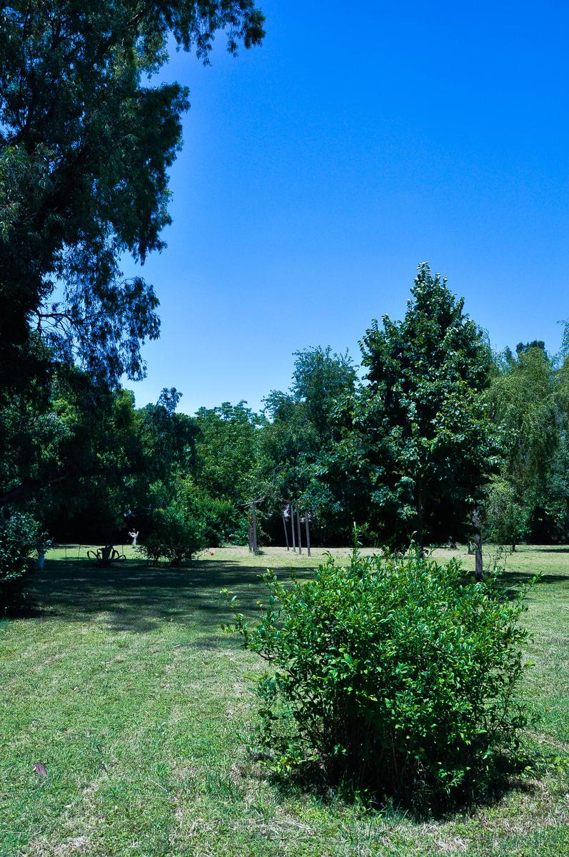 image 32