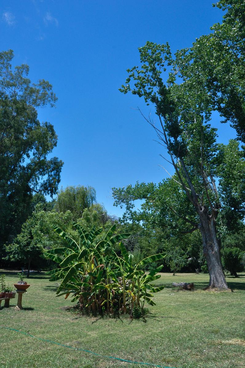 image 33