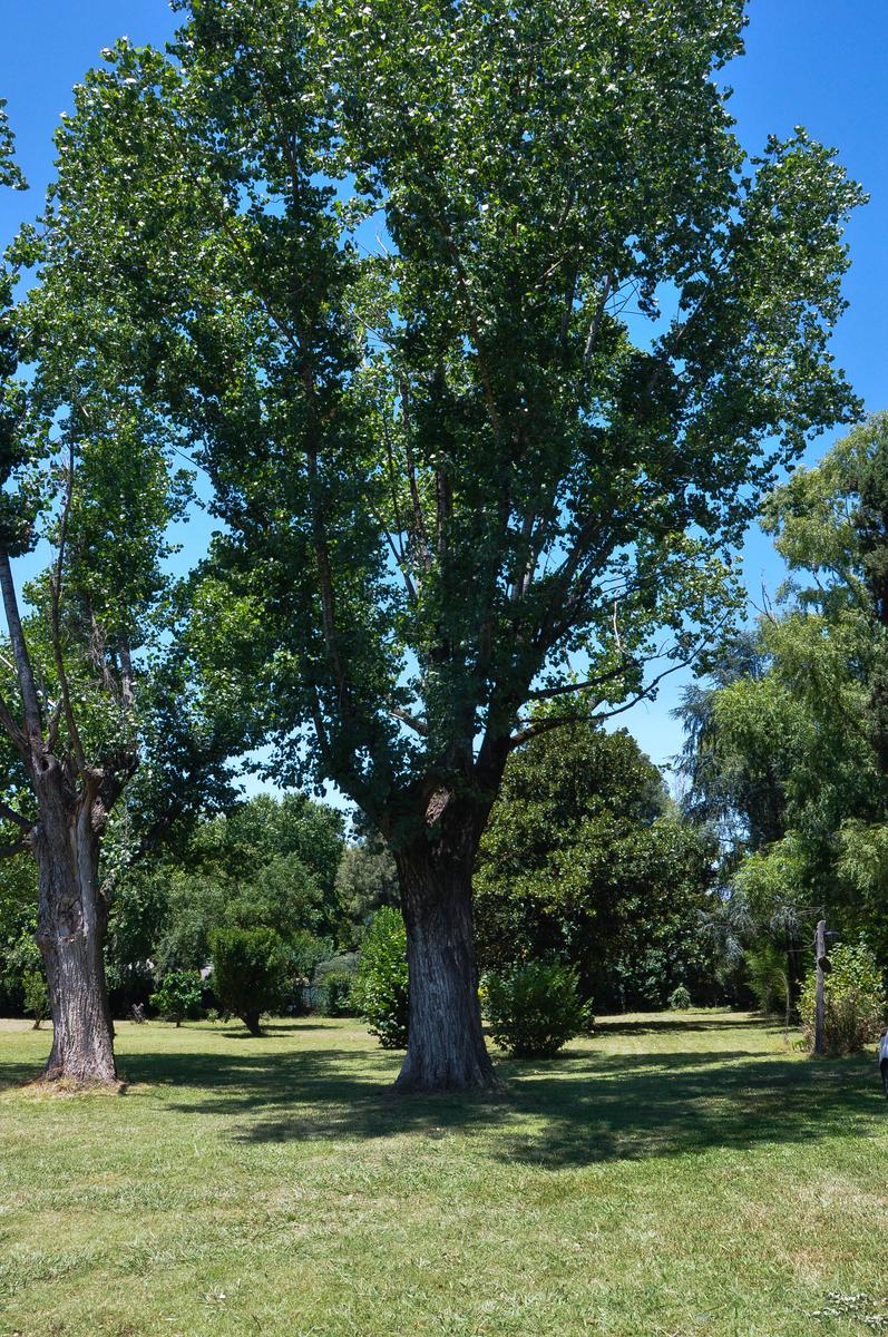 image 35