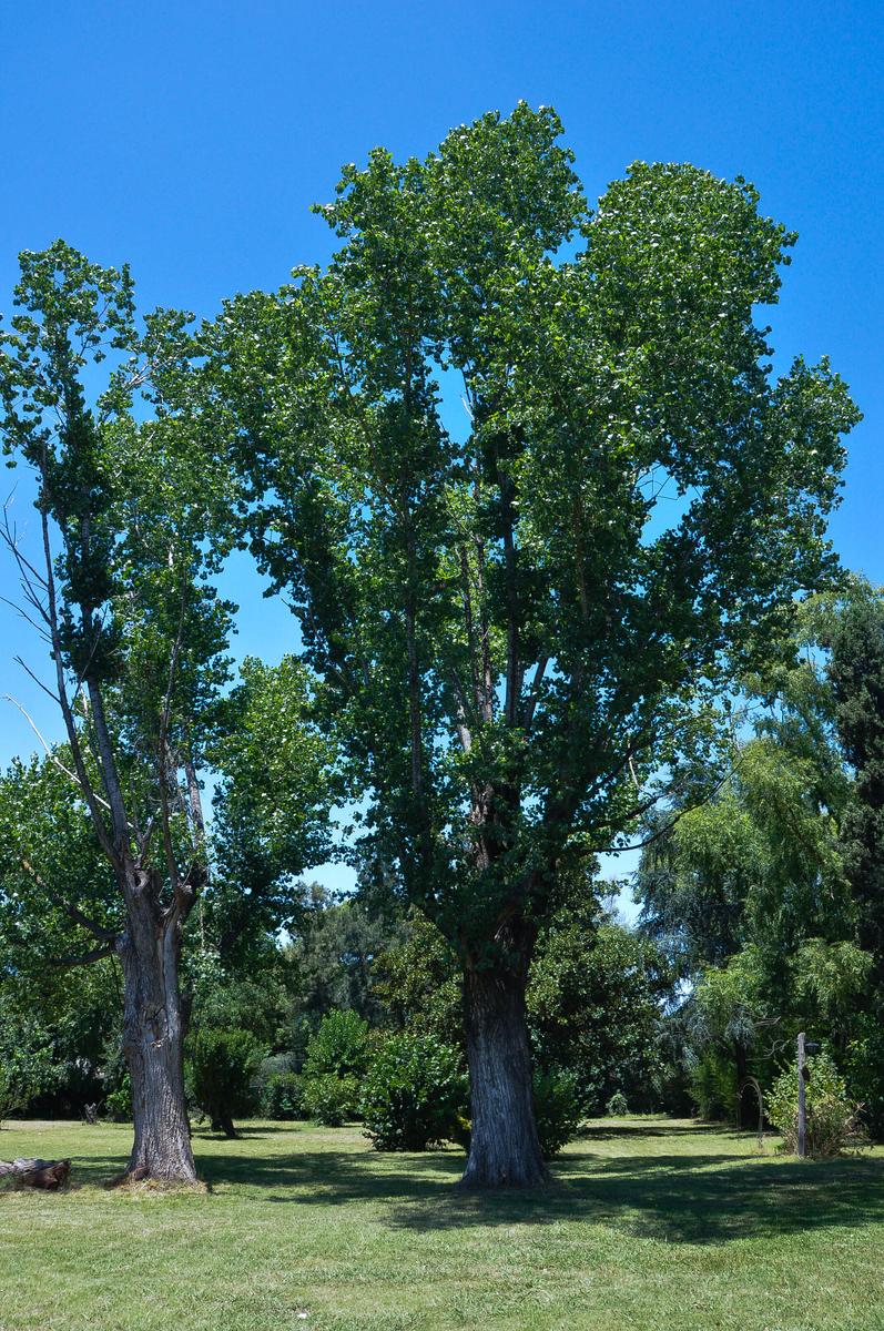 image 36