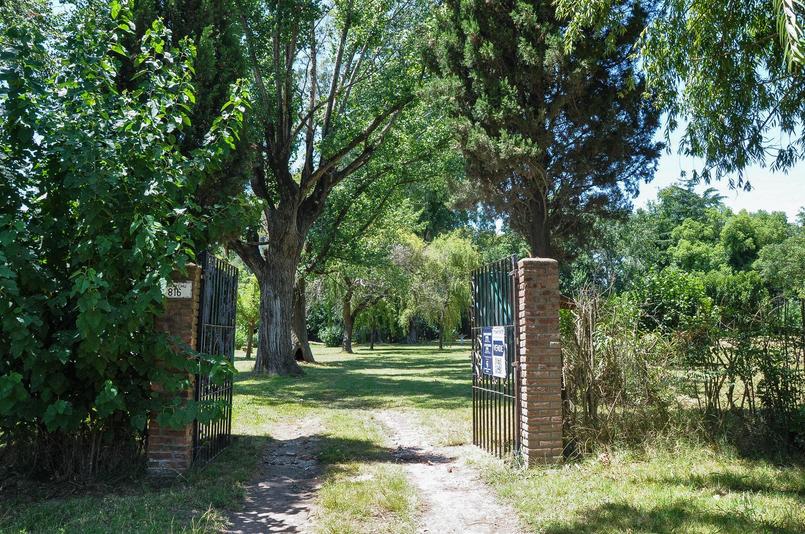 image 50