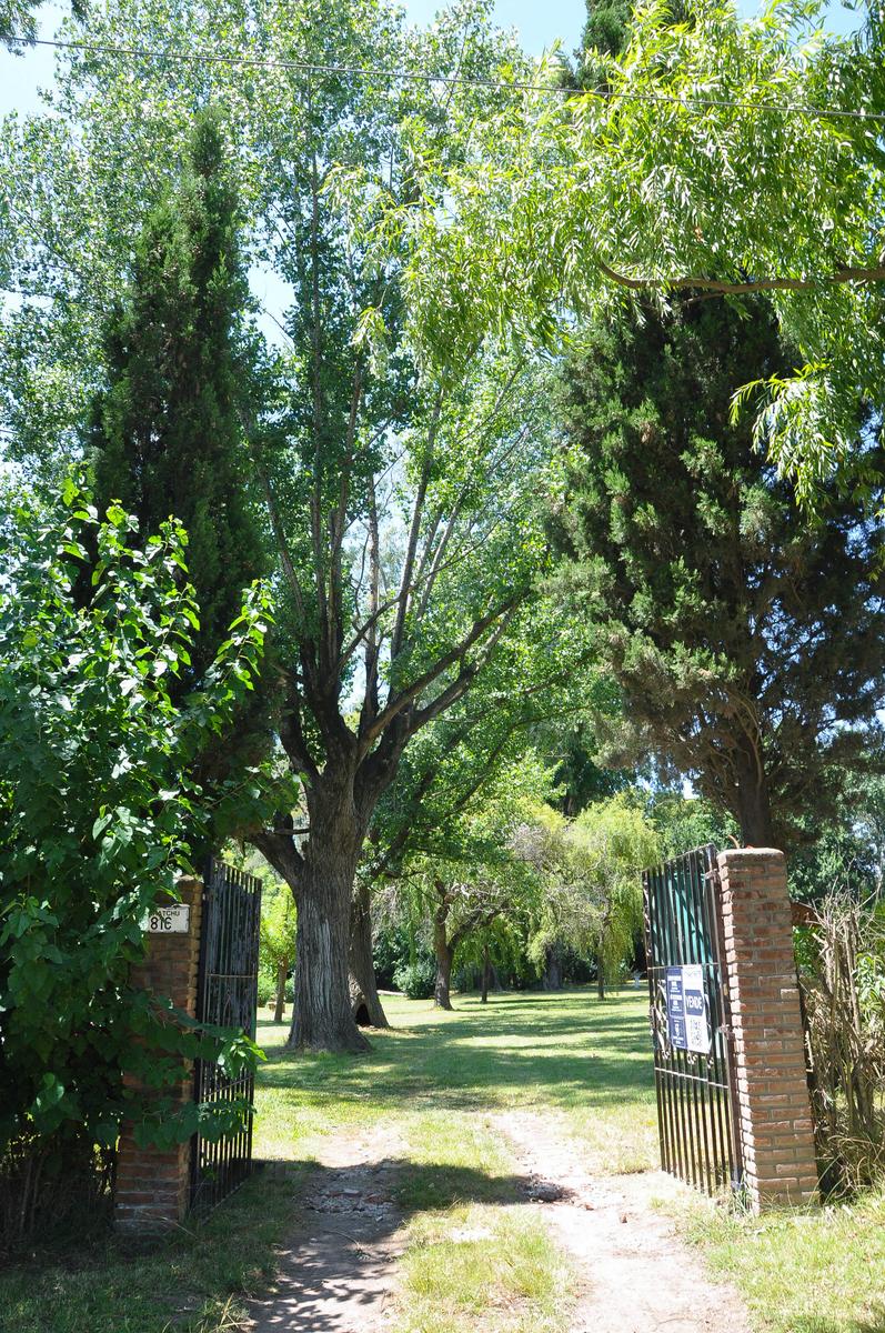image 51