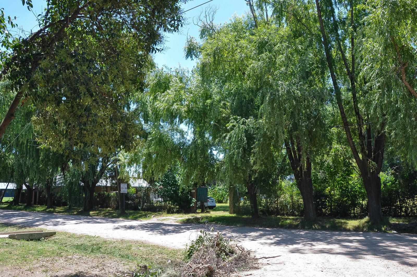 image 53