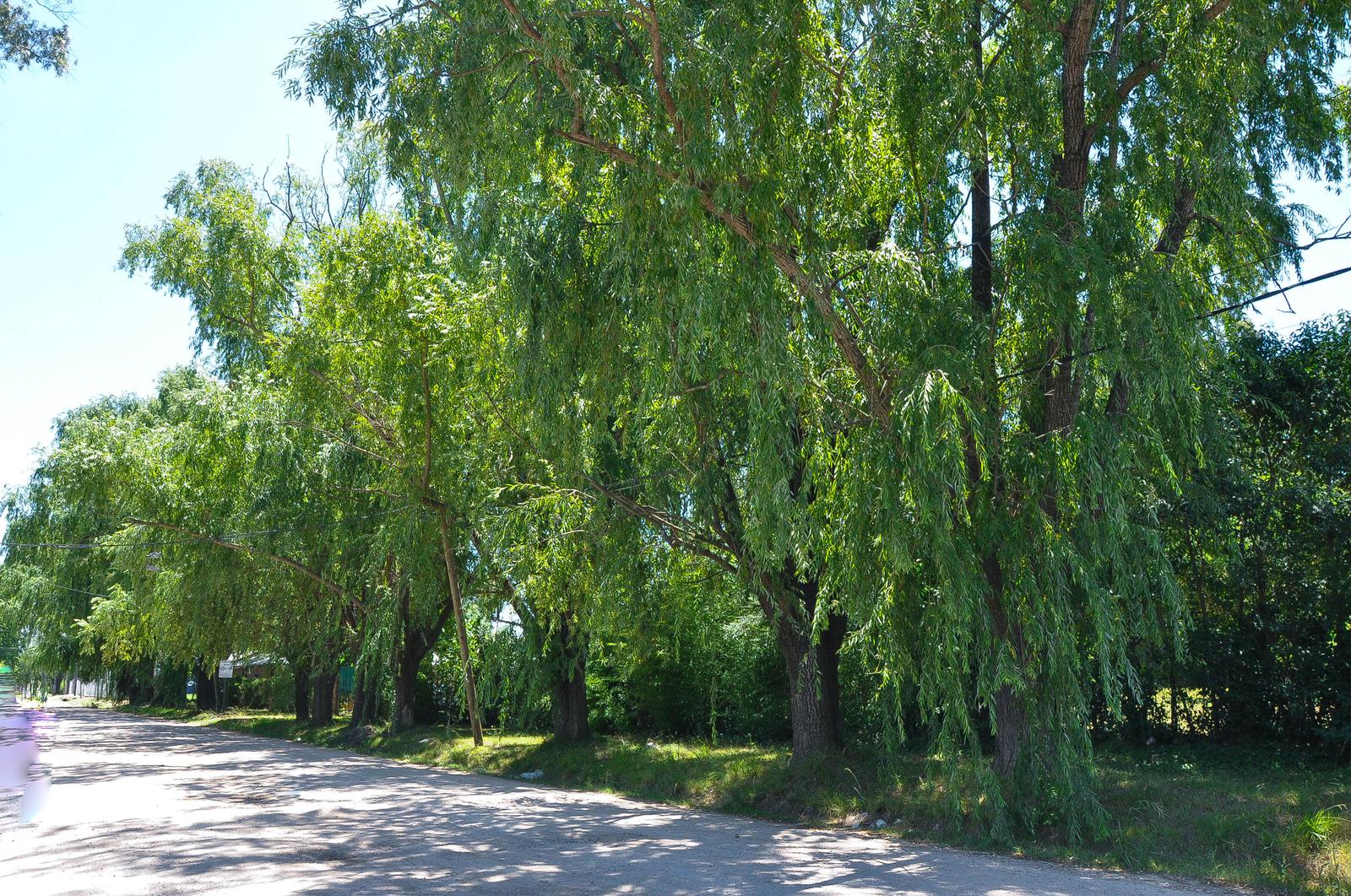 image 54