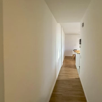 1769530395.jpg