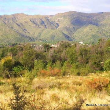 TERRENOS UNICOS en San Esteban