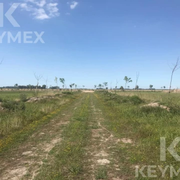 Terreno en venta en  Campos de la Enriqueta