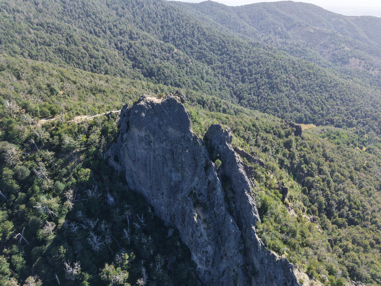 image 35