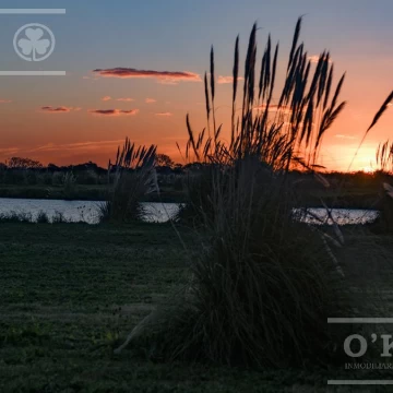 Lote en venta en Puerto Nizuc - Oportunidad de inversión en Guillermo Hudson