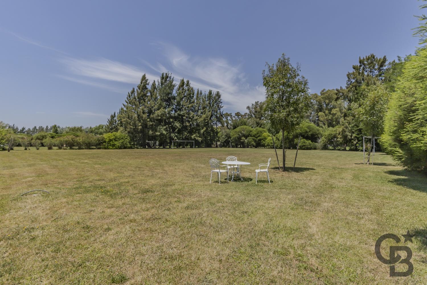 image 32