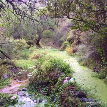 La Fronda - UNICO en el Valle del Rio Pinto