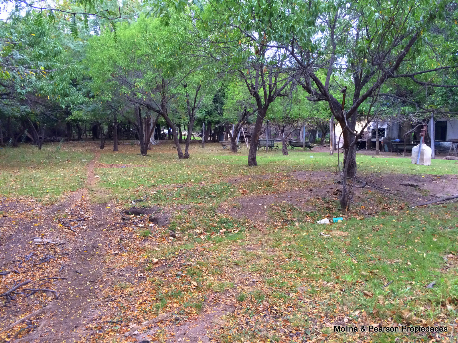 image 22