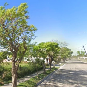 1770063147.jpg