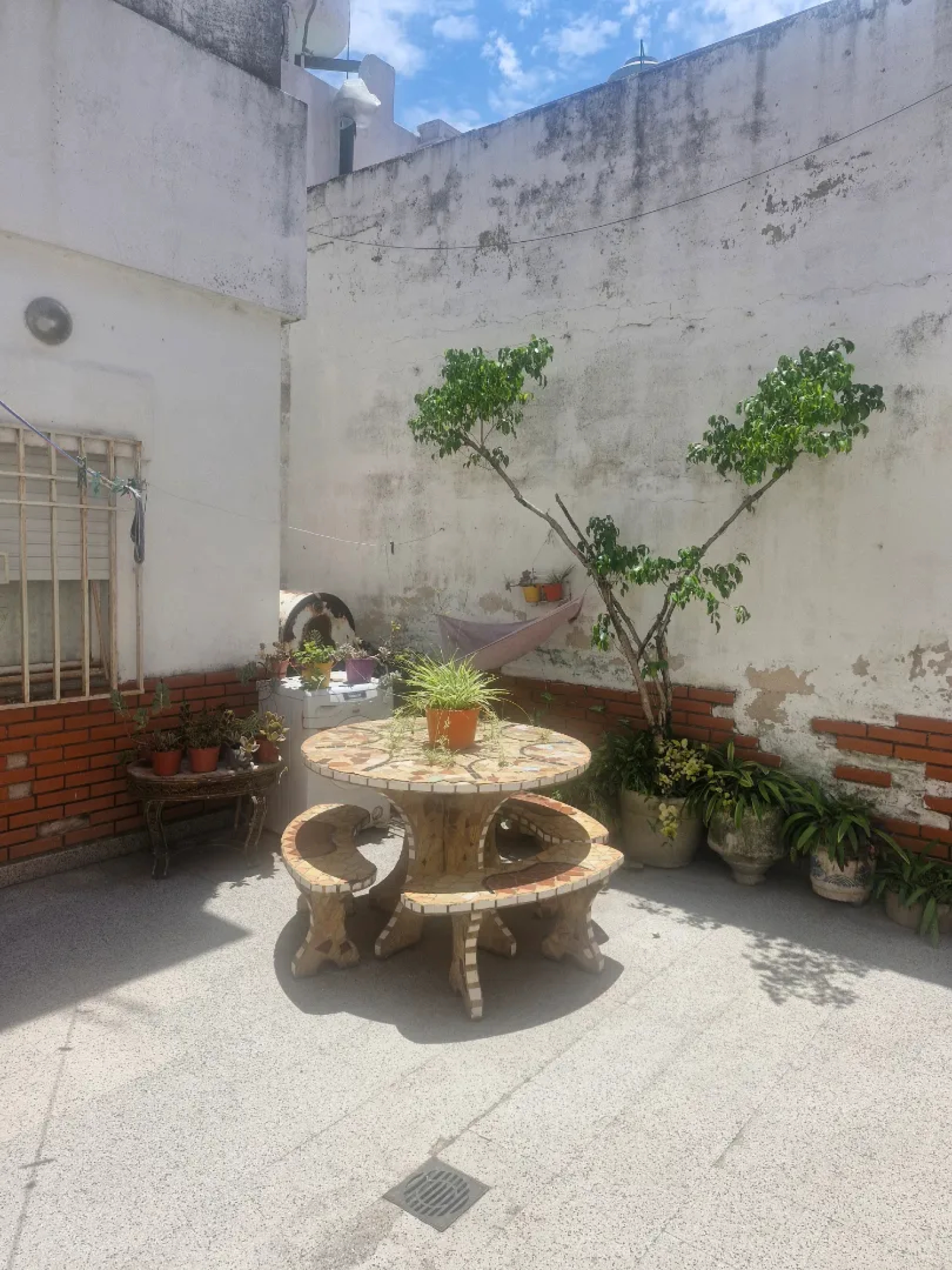 image 14