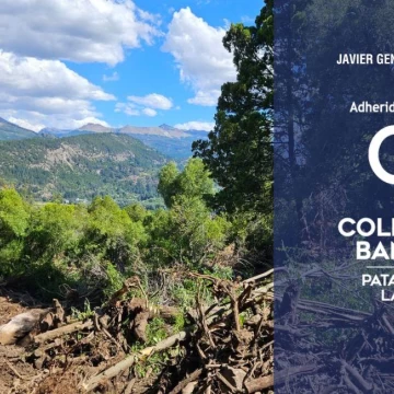 VENTA - Lote en Alihuen alto, 6091 m² vistas abiertas, soleado y bosque nativo - S. M. de los Andes