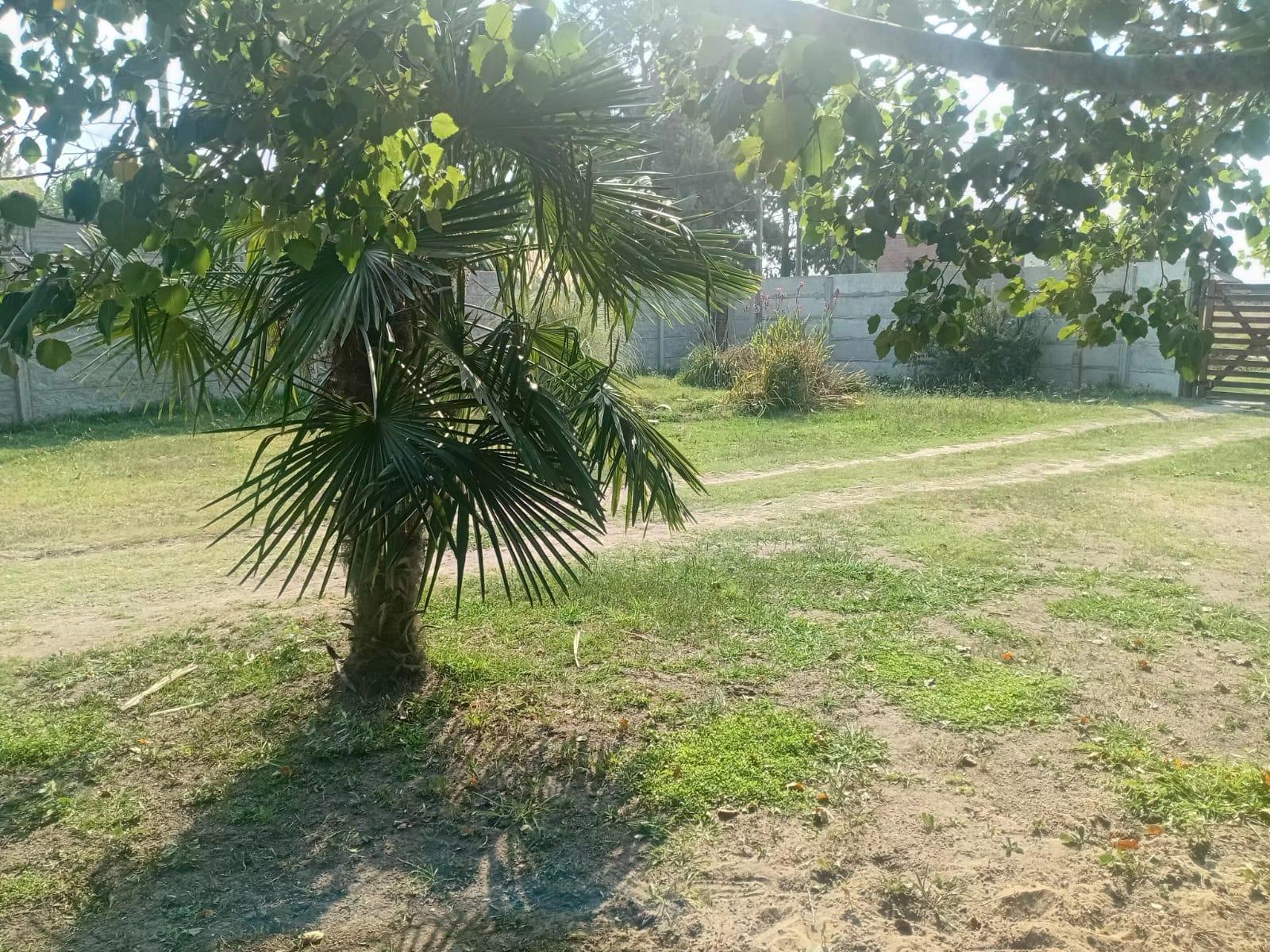 image 14
