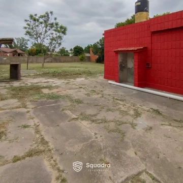 1770239598.jpg