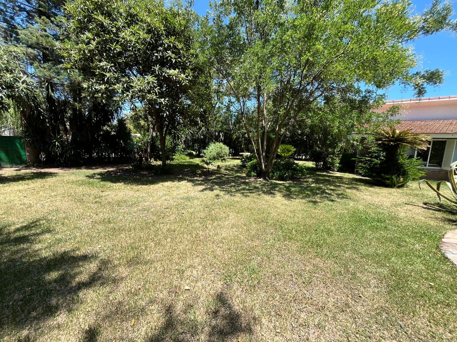 image 25