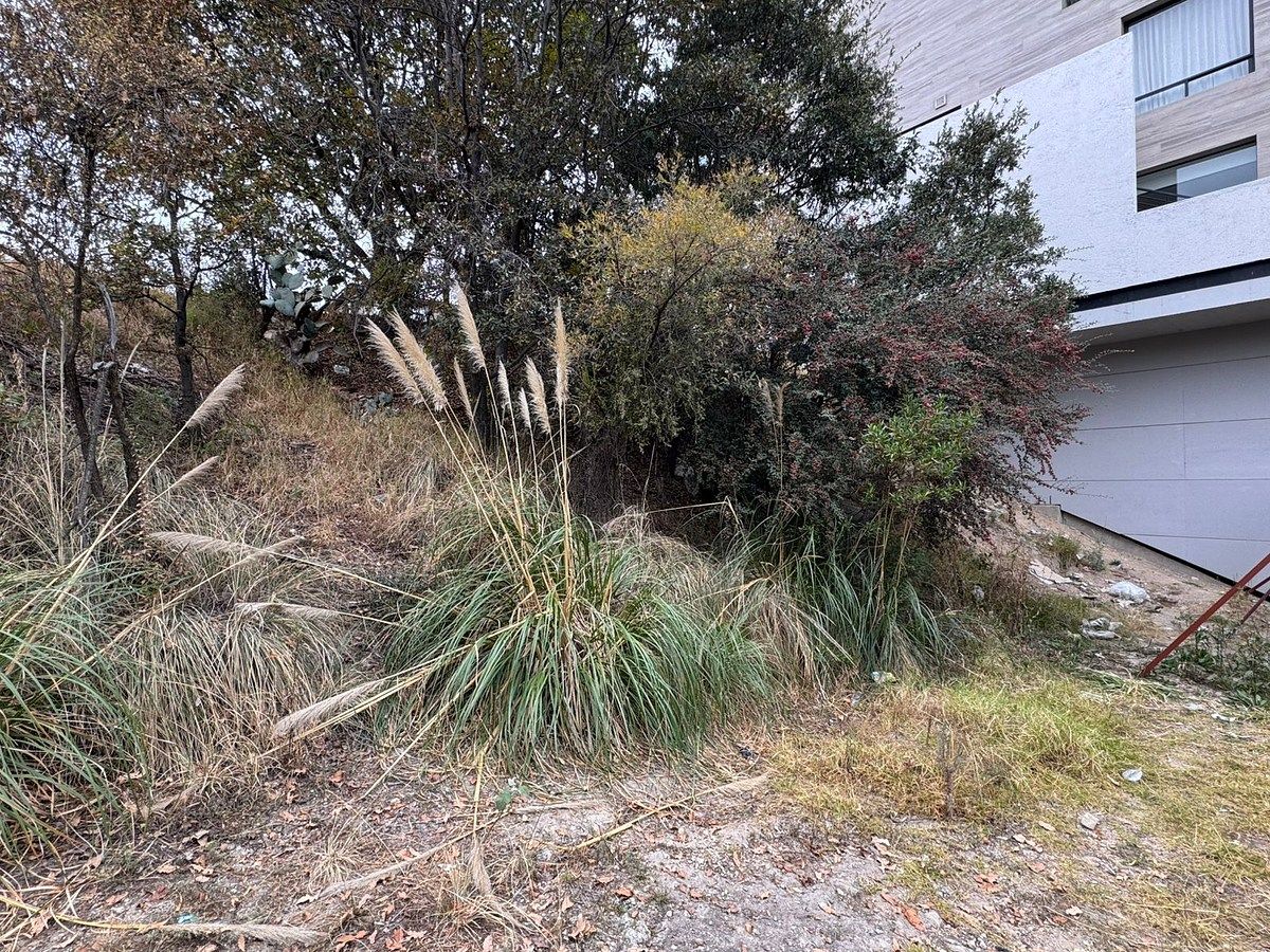 image 15