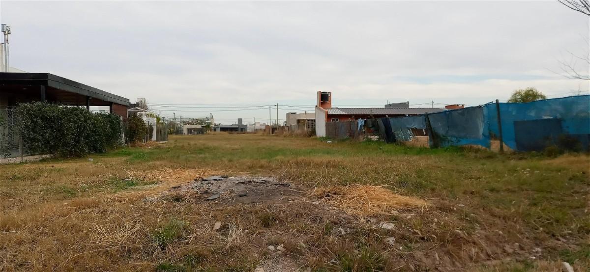 Lote 551