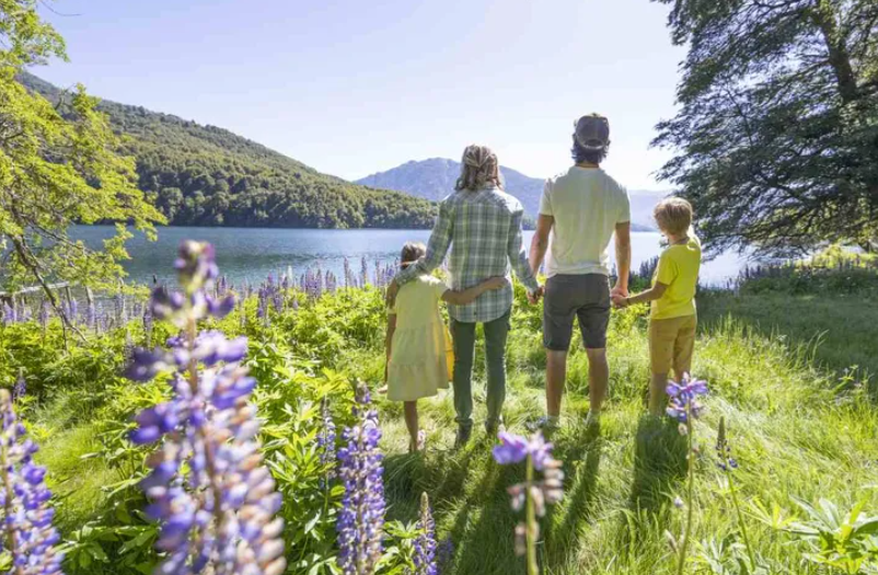 Invertir en Bariloche: Oportunidades en pozo, lotes y renta turística