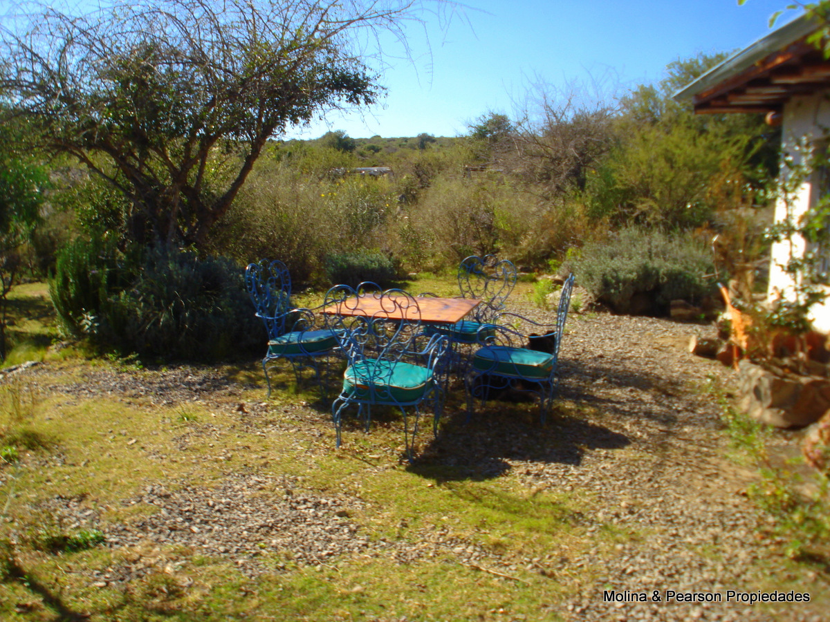 image 31