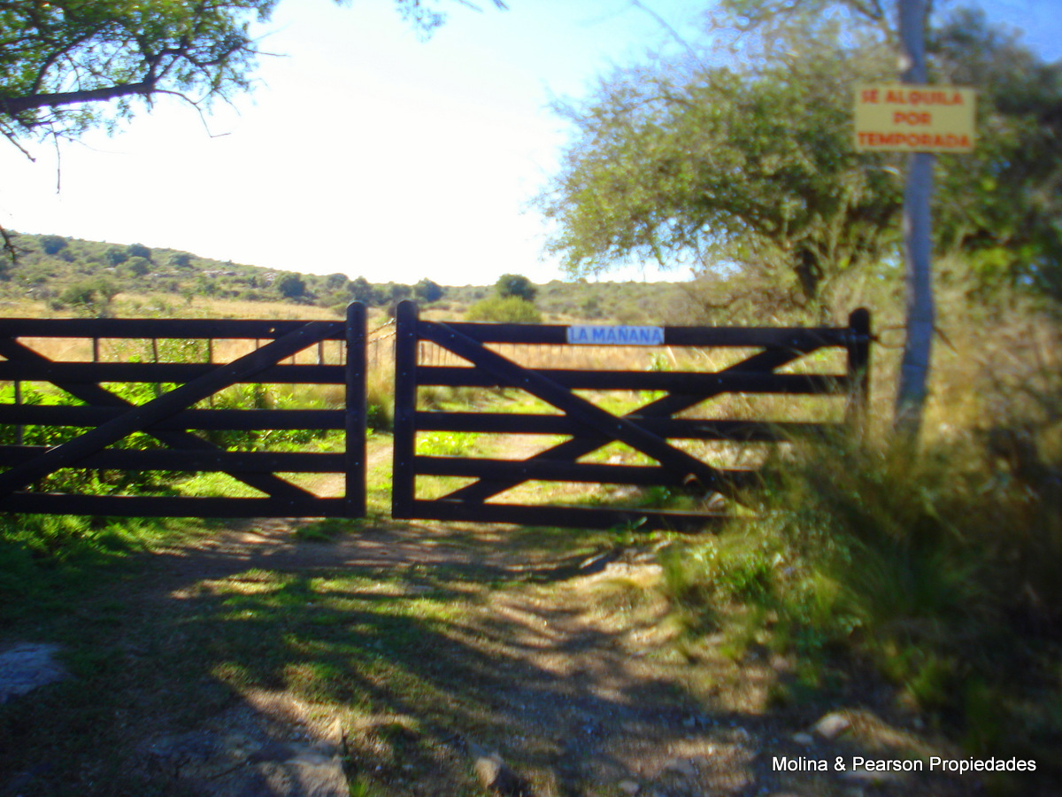 image 38