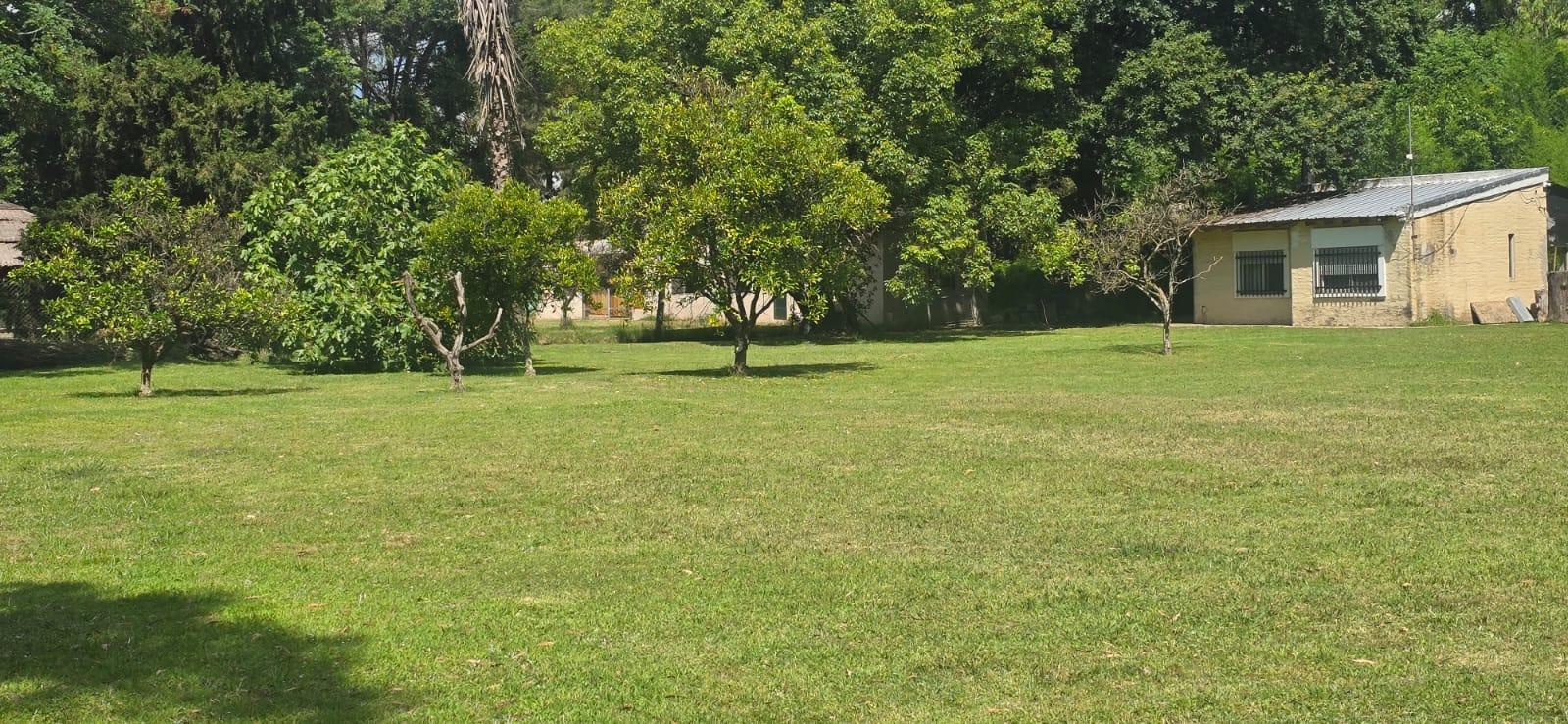 image 18