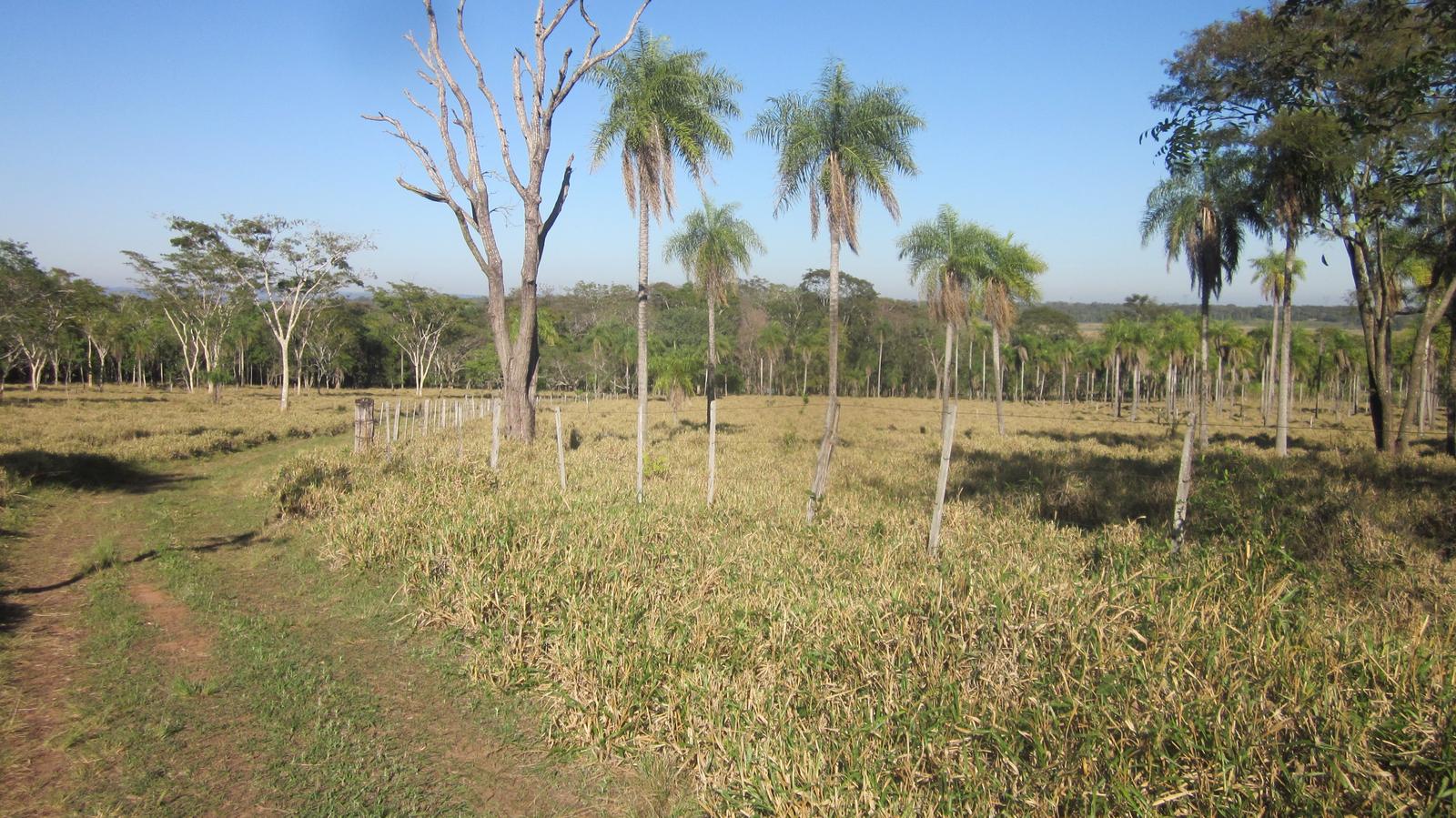 image 14