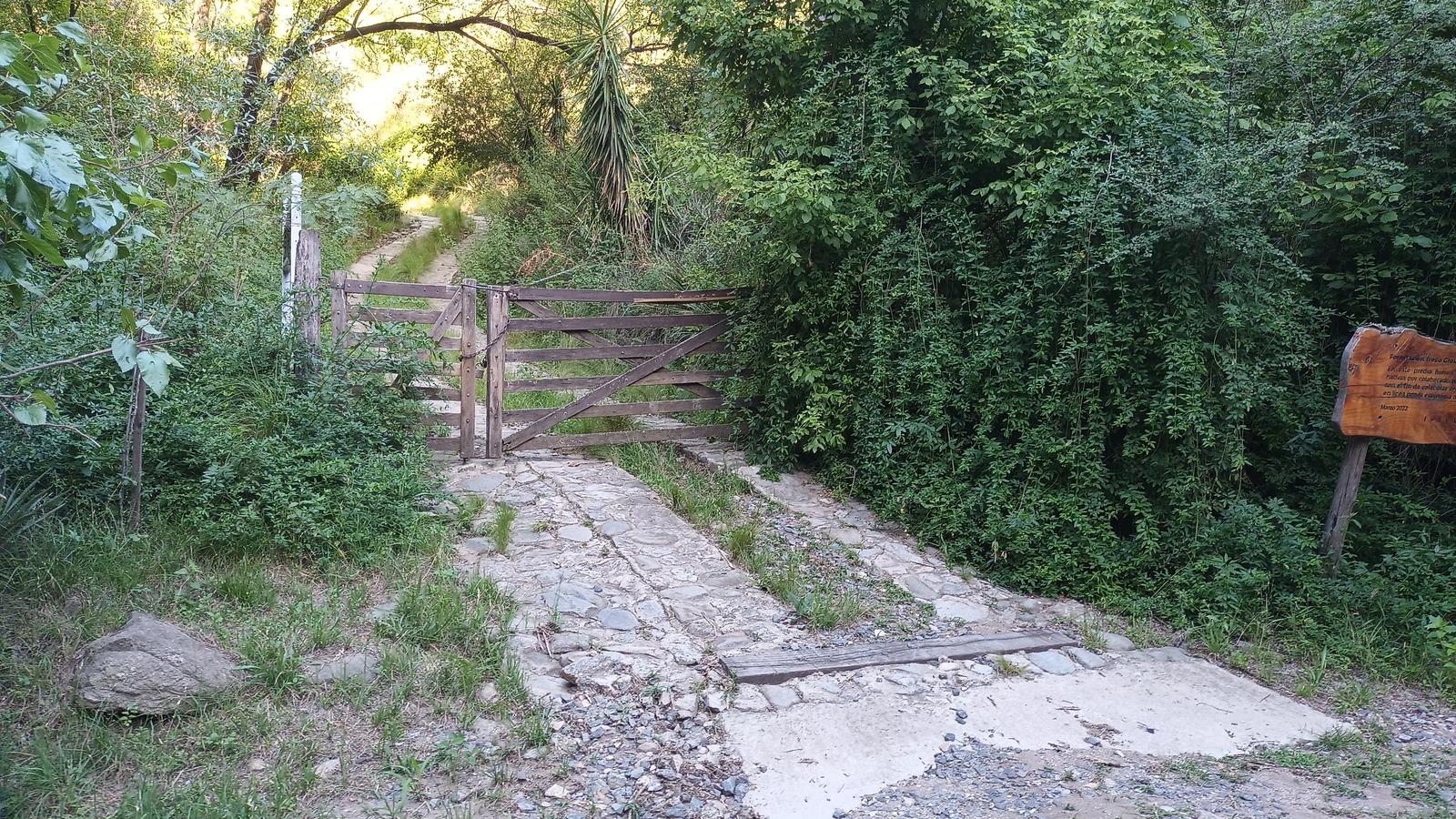 image 17