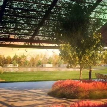 1770909155.jpg