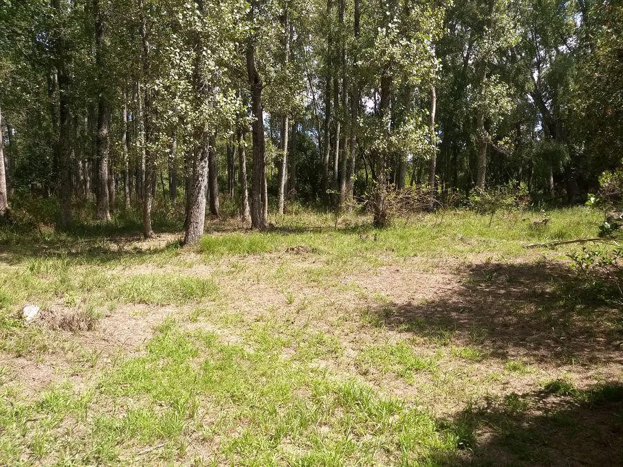 image 13