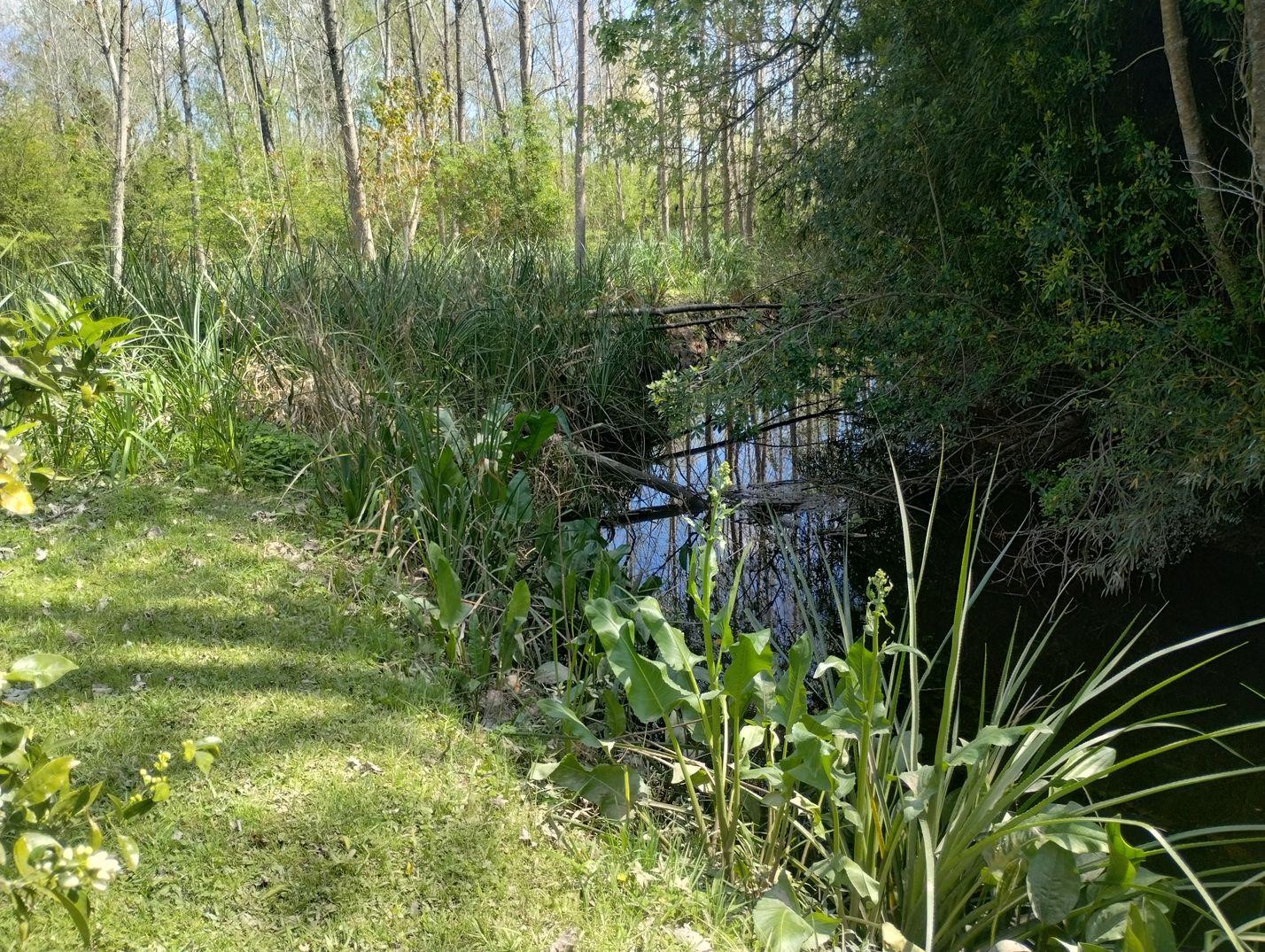image 24