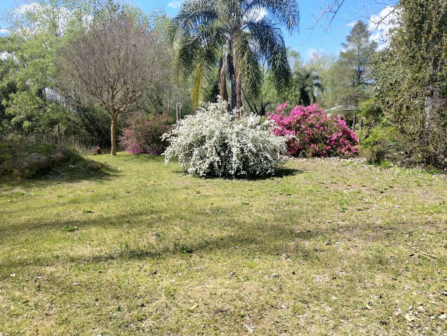 image 25