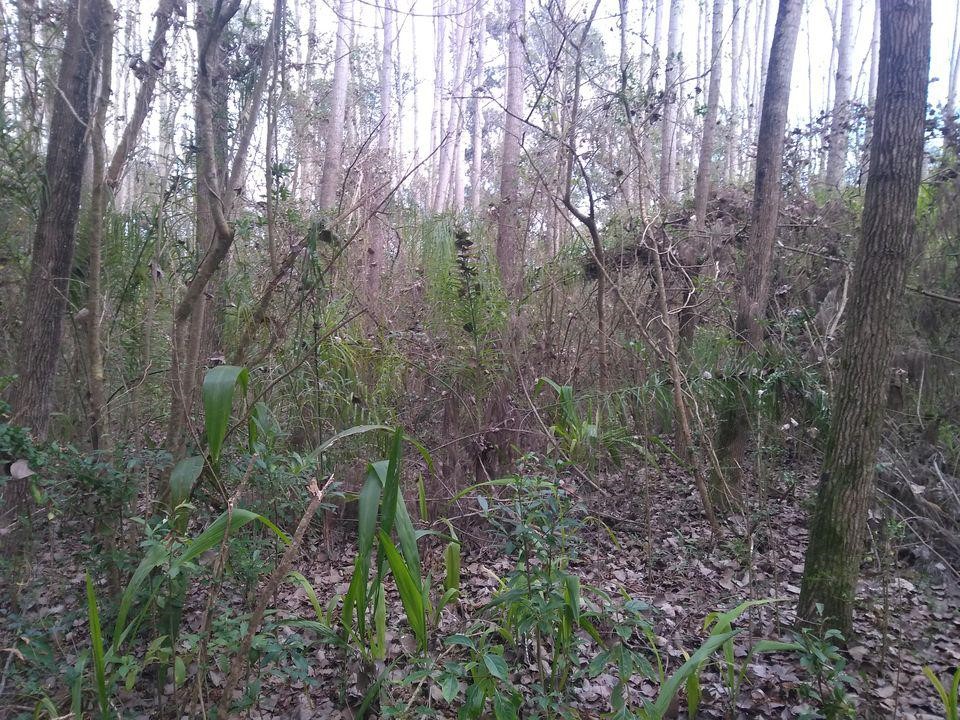 image 14