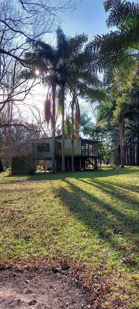 image 14