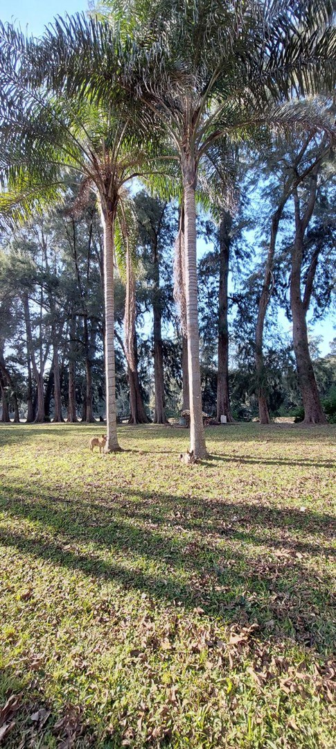 image 37