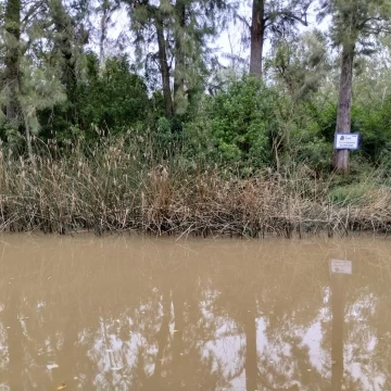 Terreno Venta en Rio / Arroyo  Durazno