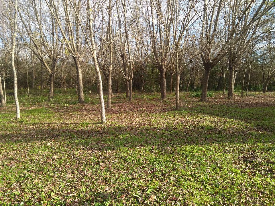 image 14