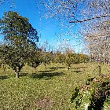 Casa Venta en Rio / Arroyo Paraná Miní 0