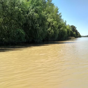 Casa Venta en Rio / Arroyo Paraná Miní 0