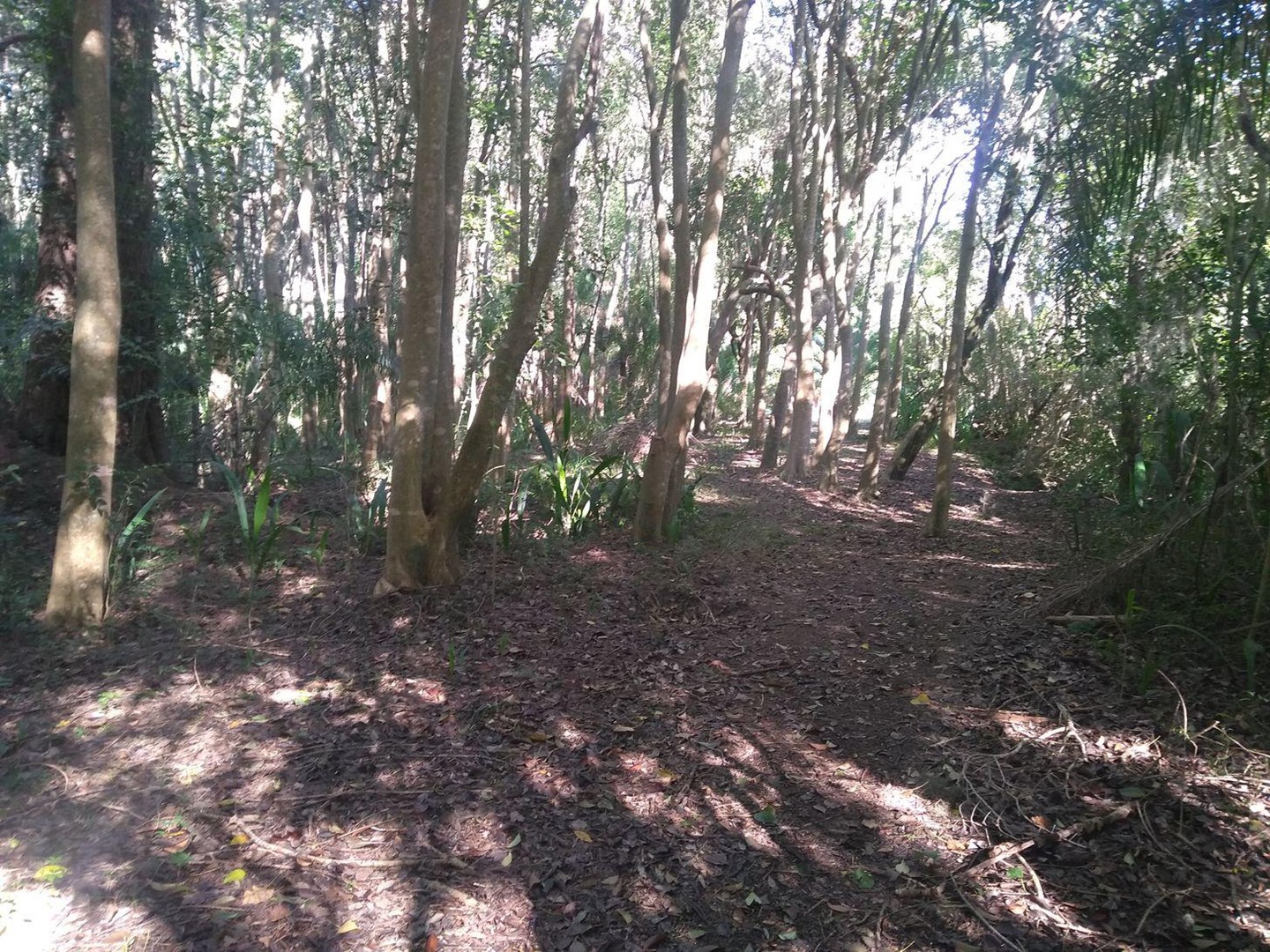 image 16
