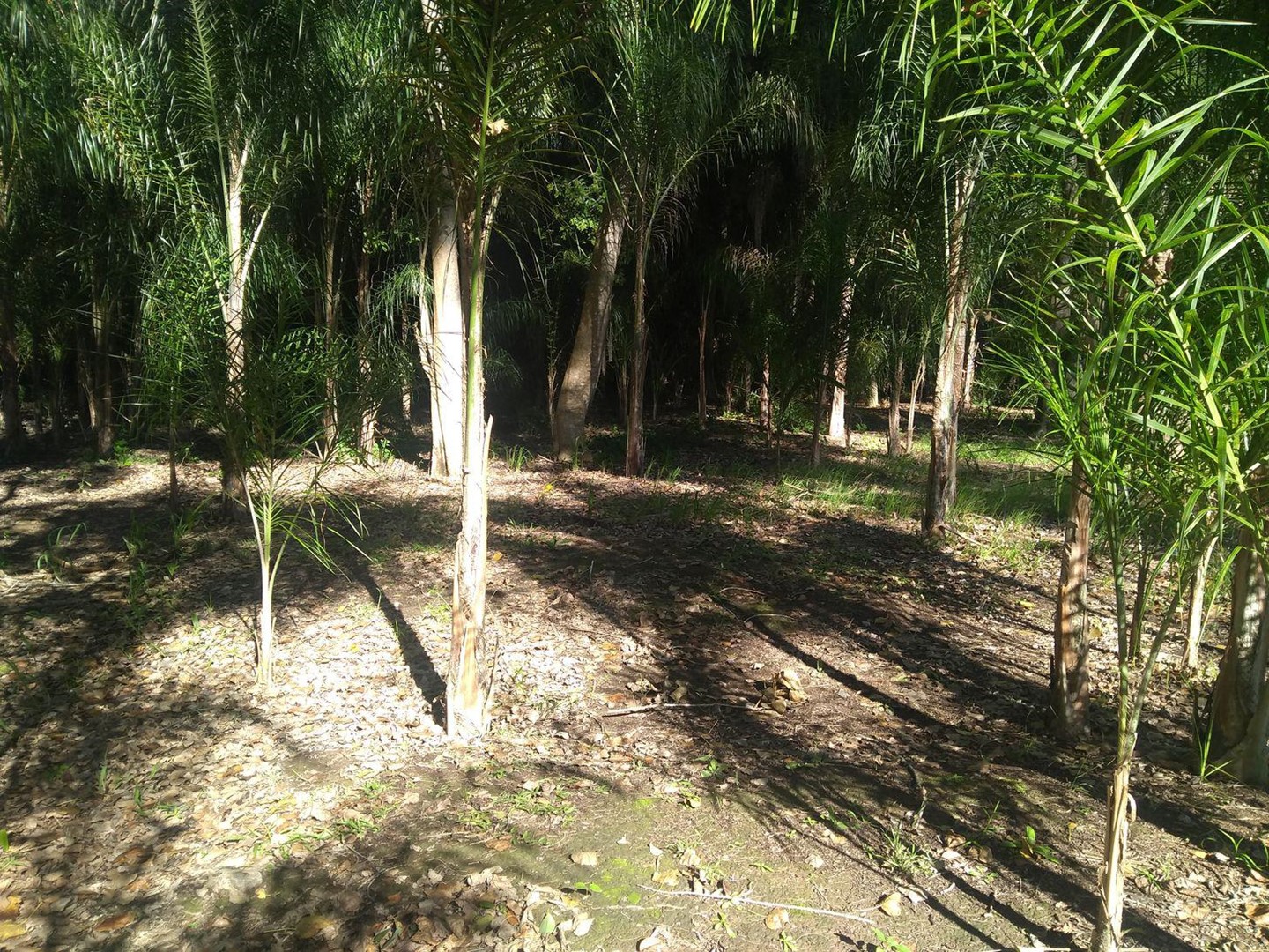 image 19