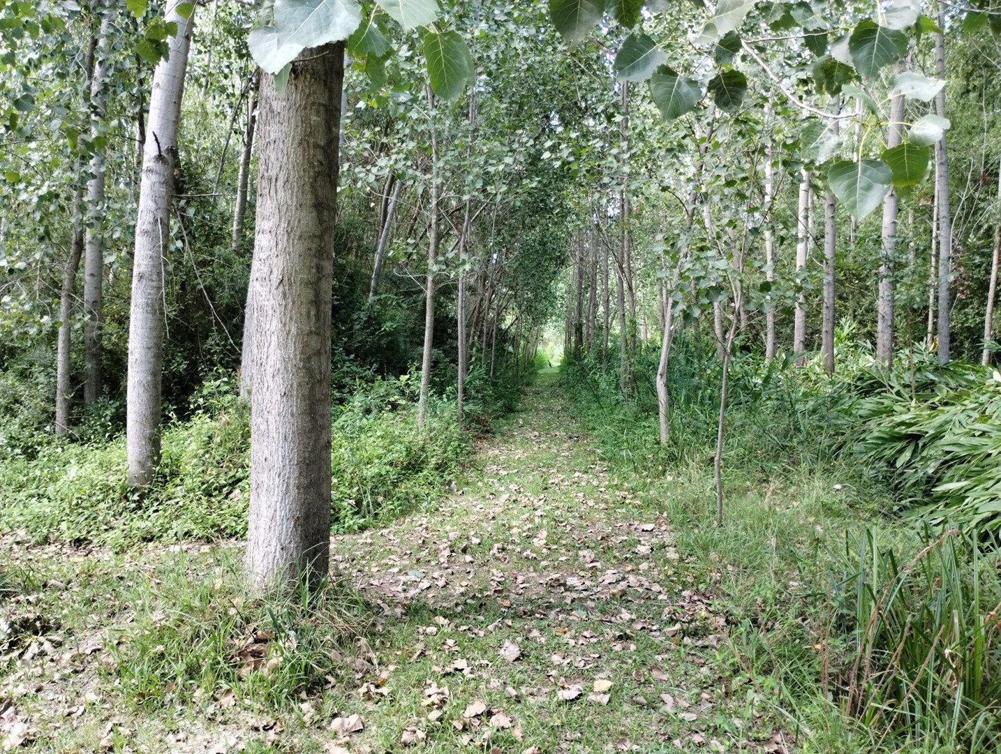 image 15