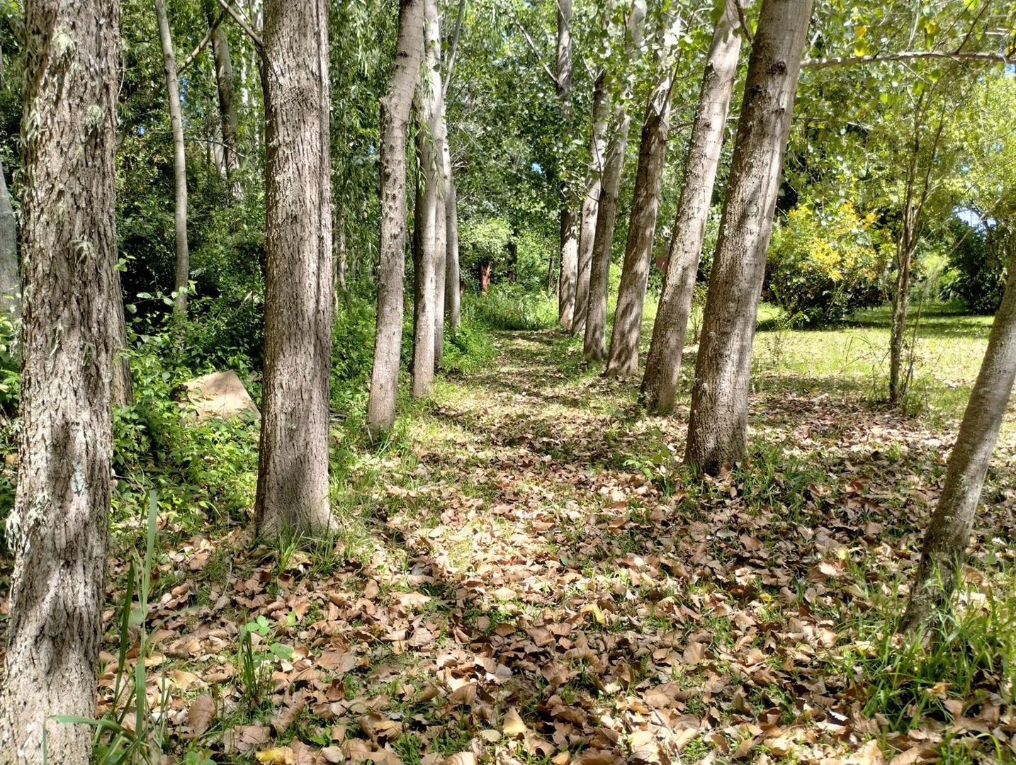image 18