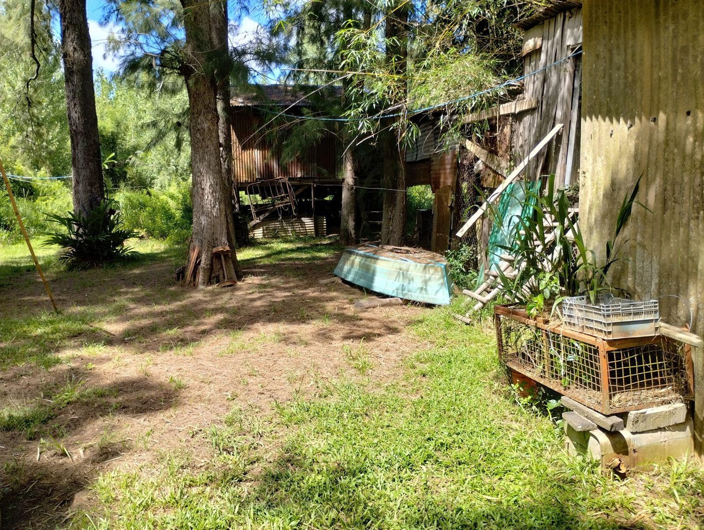 image 19
